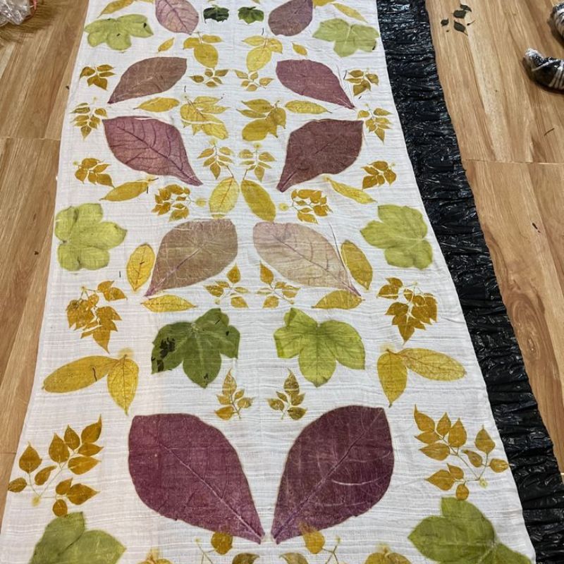 What Are Disperse Dyes Used For?