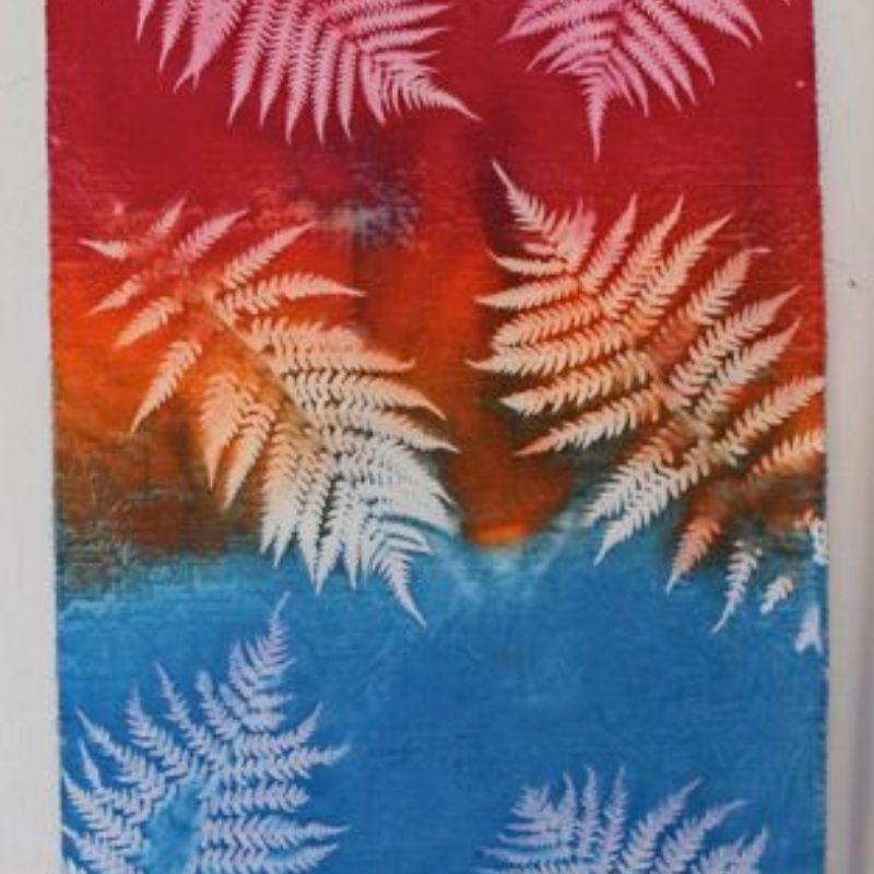 What Are The Properties Of Disperse Dye?