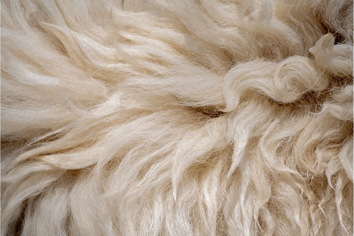 The Battle Between Sherpa and Fleece – A Complete Guide on the Differences and Similarities Between Them (2)